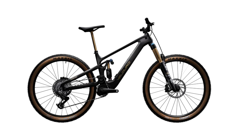Velduro Rogue R - E-MTB | powered by AVINOX