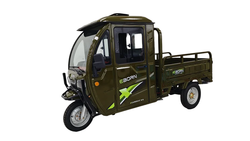 Eborn Cargo Cat 3 V2