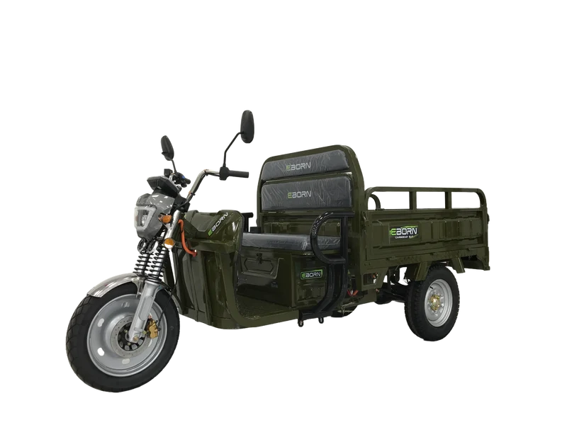 Eborn Cargo Cat 2 V2