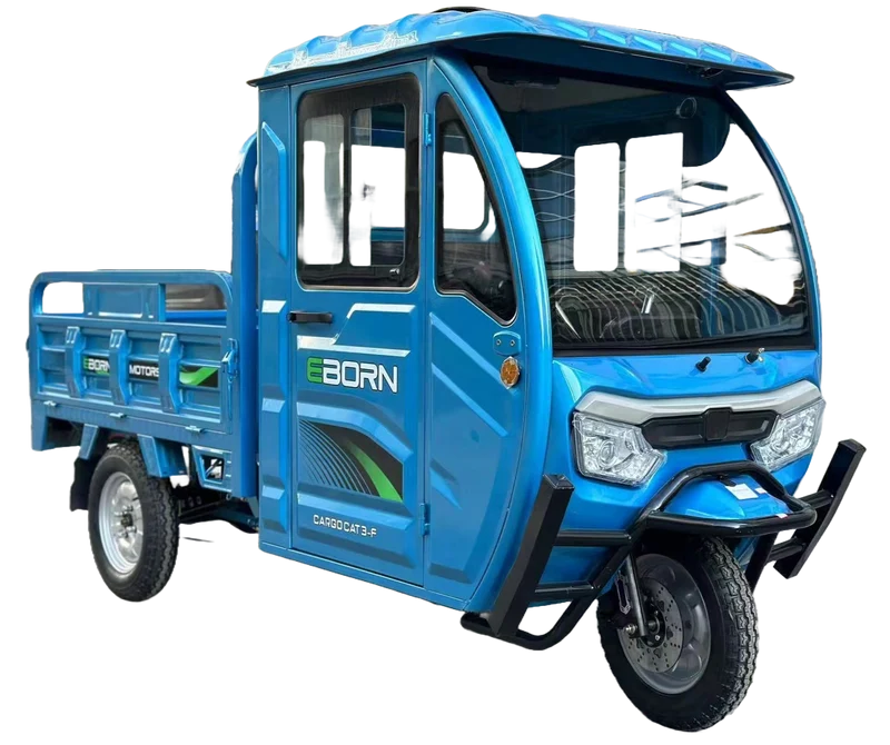 Eborn Cargo Cat 3 V1
