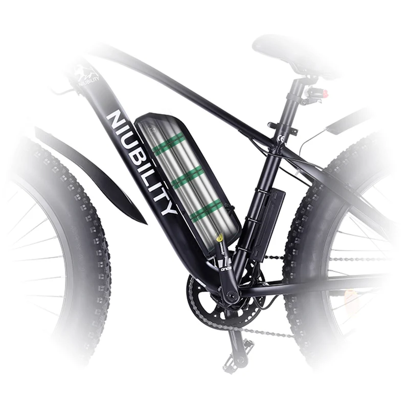 Niubility Bicycle Waterproof Li-Battery for Ebikes