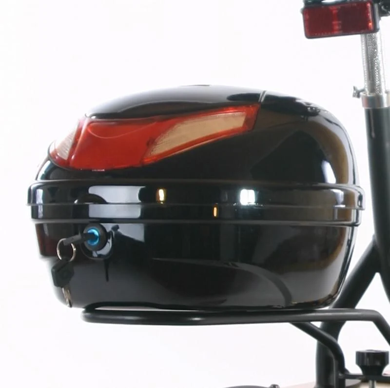 ENEWAY TopCase S für Revoluzzer & E-City-Roller & Forca-Sports E-Scooter E-Roller