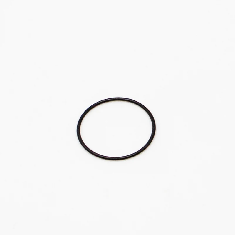 O-Ring für Light Bee & E Ride Pro SS