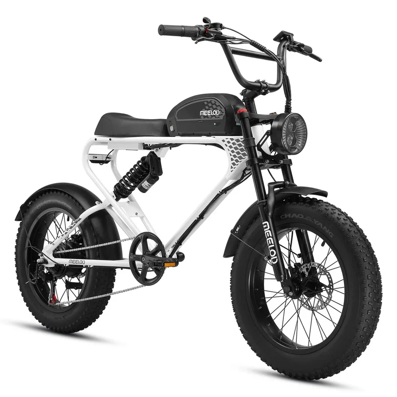 MEELOD DK300 PLUS 20" Elektrofahrrad im Retro Moped Stil 1200W Spitzenmotor 48V 20Ah Batterie