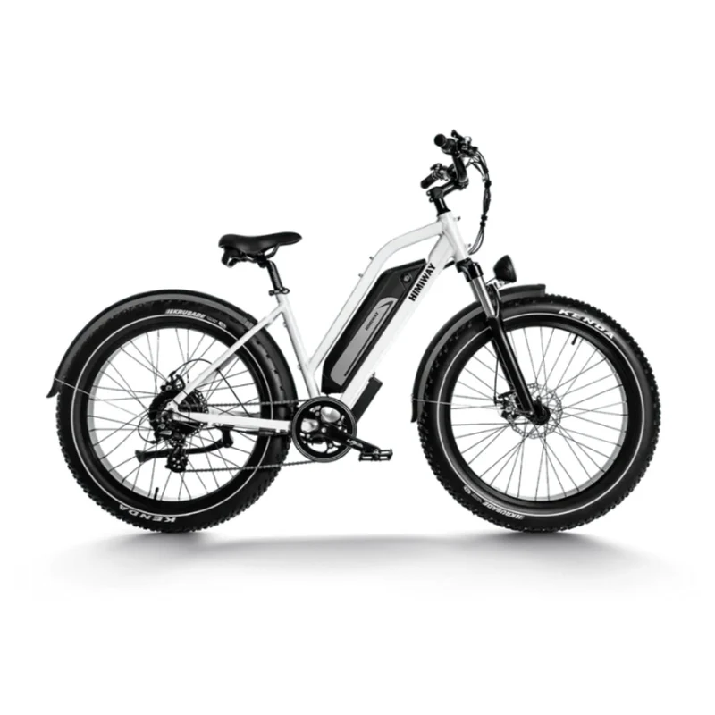 HIMIWAY D3 ST (Cruiser ST) 26" All-Terrain-Step-Thru-Elektrofahrrad 750W Motor 48V 15Ah Batterie