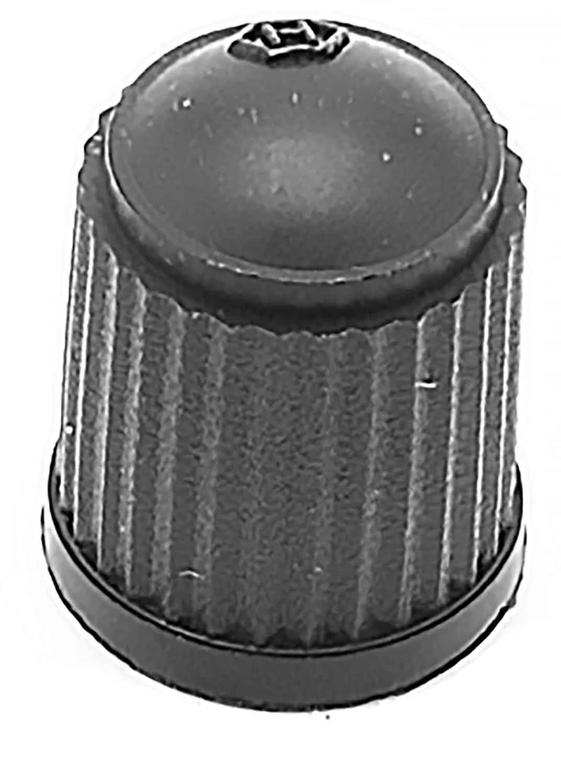 SXT Ventilkappe
