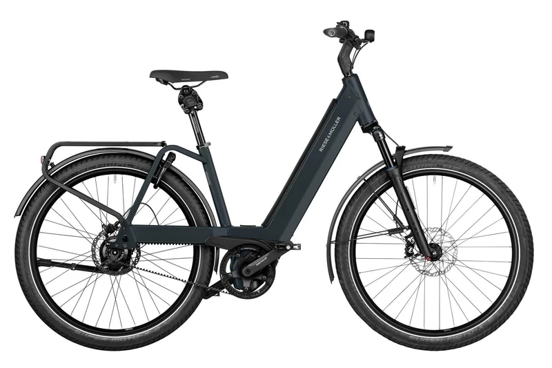Riese & Müller Nevo4 GT rohloff 750Wh Kiox300 dark grey matt