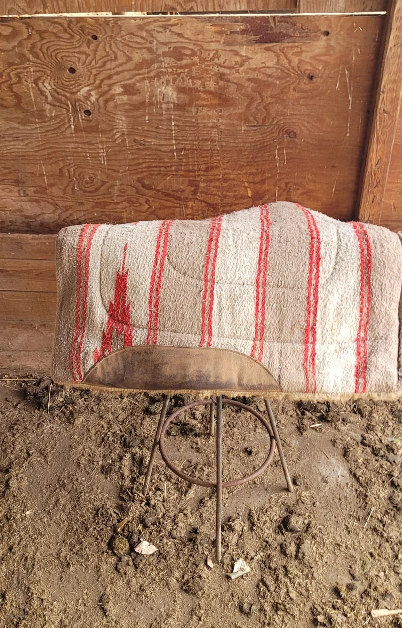 Saddle Blanket 2
