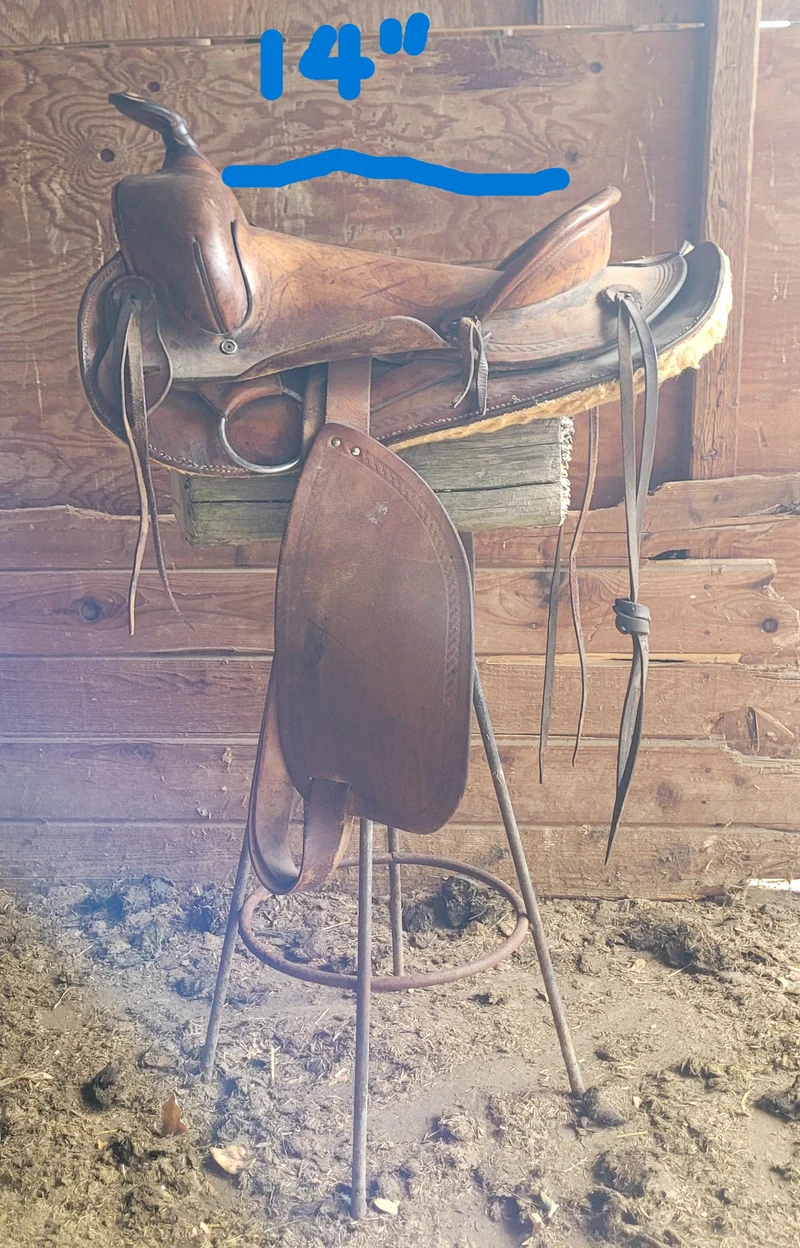 Western Saddle 2