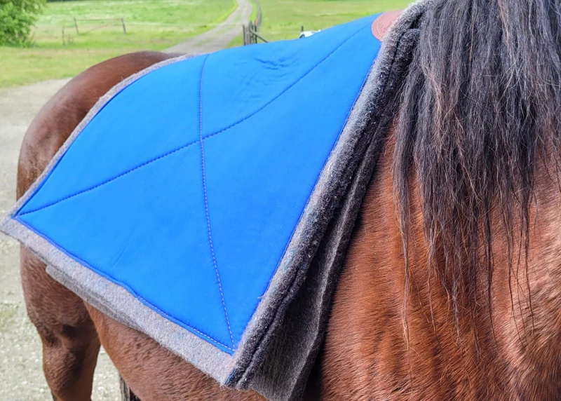 Complete Pack Saddle Pad & Liner Combo – Blue Creek Outfitting