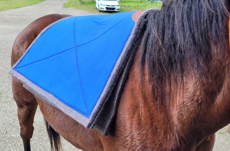 Heavy-Duty Pack Saddle Pads – Blue Creek Outfitting