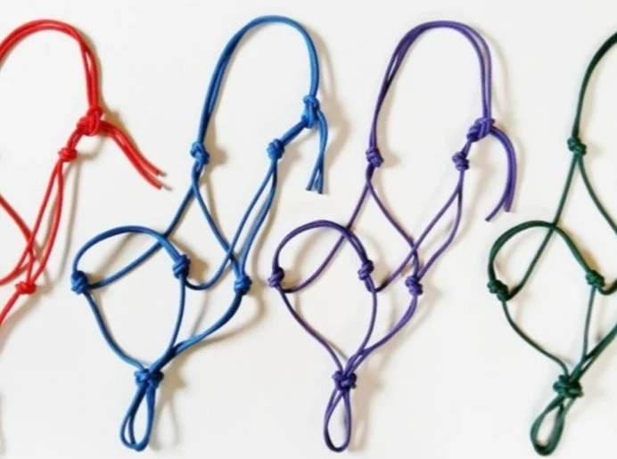 Double Braid Nylon Rope Halter for Trail Horses – Blue Creek Outfitting