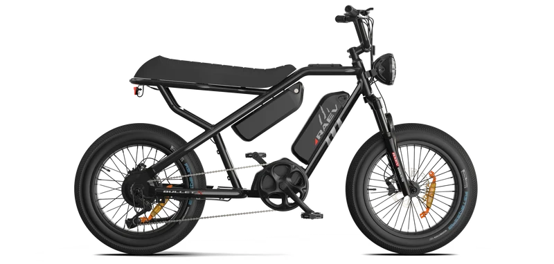 RAEV Bullet X /XF V2 Electric Bicycle