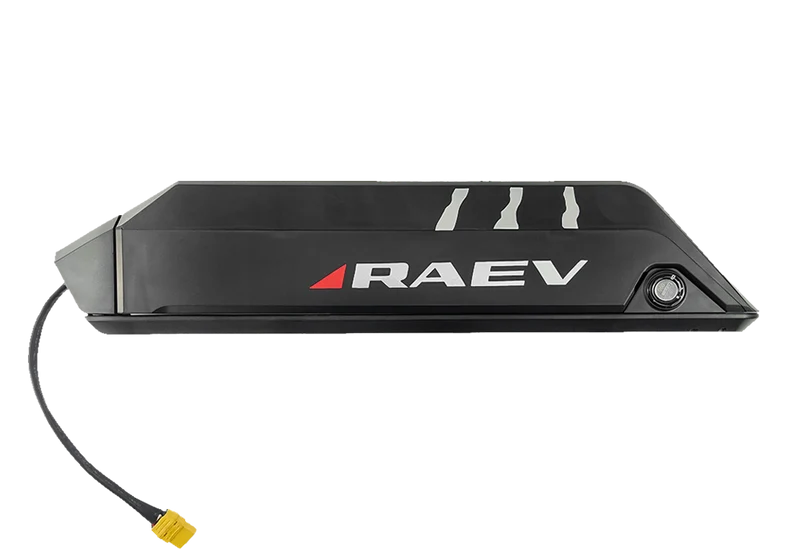 RAEV 48V20Ah Battery
