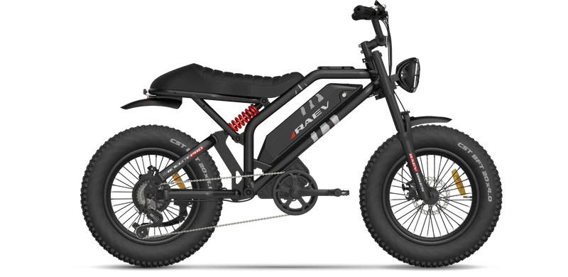 RAEV Bullet Pro E-Bike