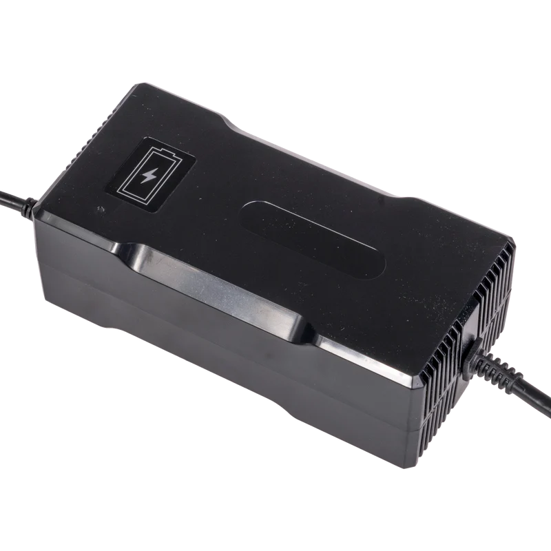 48V (54.6V max) 5A Charger