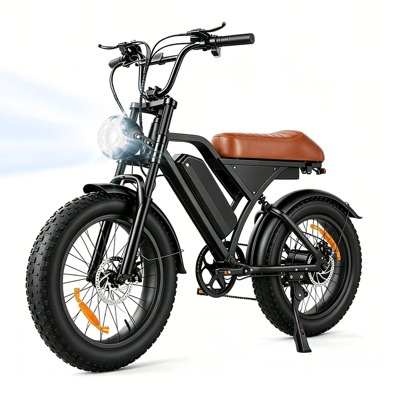EB5Max 20 Zoll Fat Tire Retro E-Bike