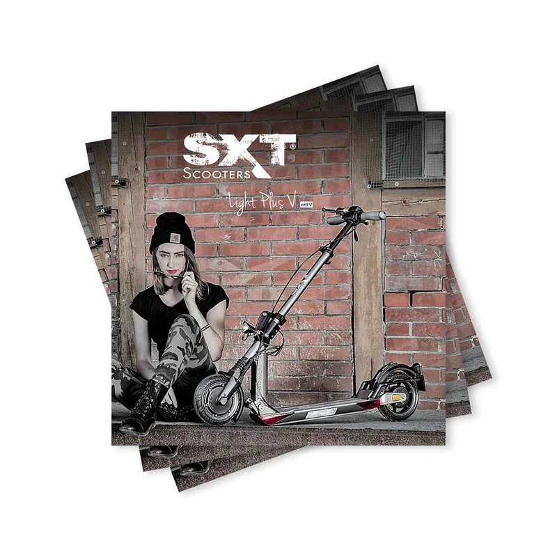 SXT Light Plus V - eKFV Werbebroschüre (10er Pack)