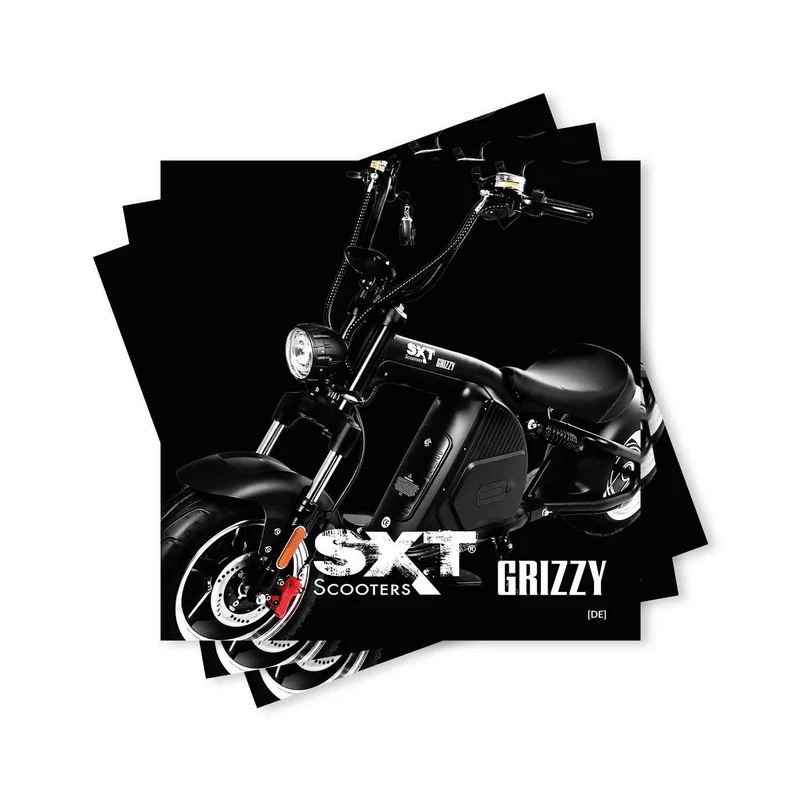 SXT Grizzy / SXT Grizzy GT Werbebroschüre (10er Pack)