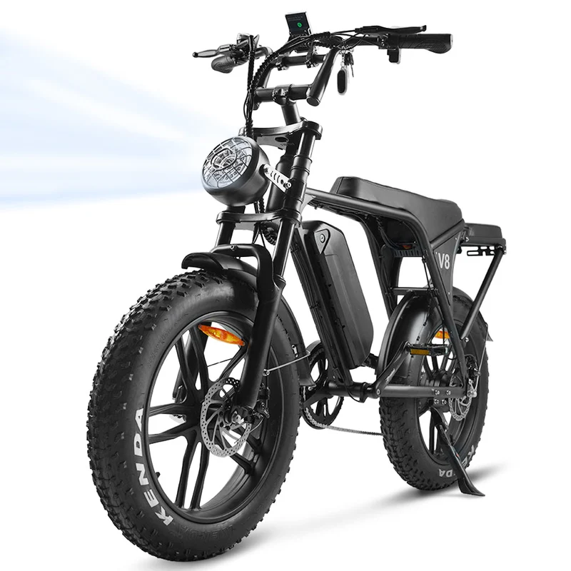 20″ Fat Tire E-Mountainbikes