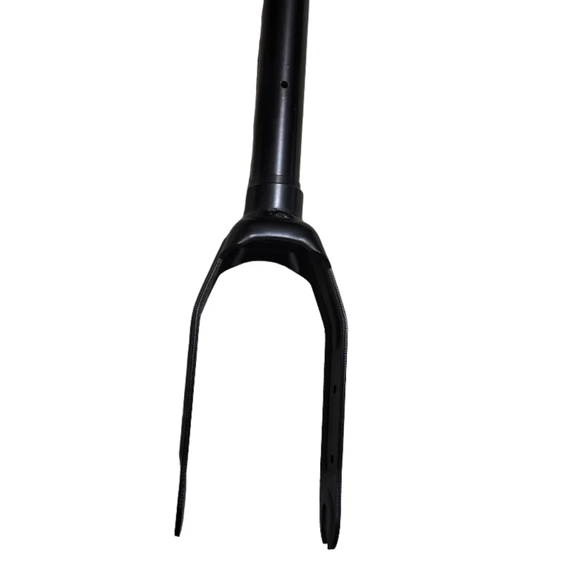 Vorderradgabel für E9Tmax