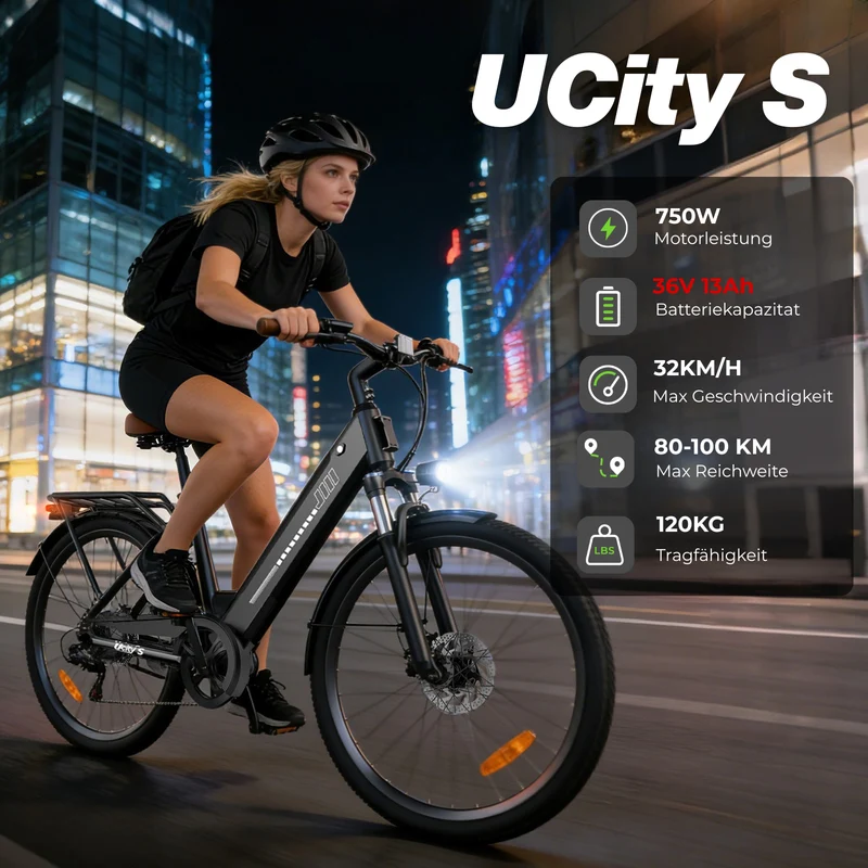 U2 Tiefeinsteiger E-Bike Damen Und Herren