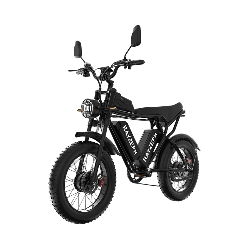 RAYZEPH C20MAX-1 20" Offroad-Elektrofahrrad 2000W Motor 52V 40Ah Batterie