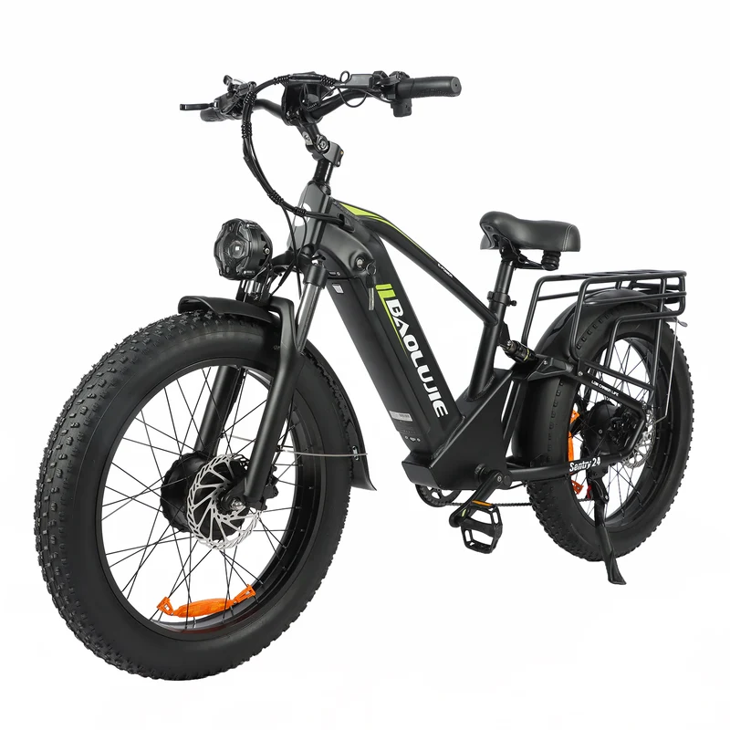 BAOLUJIE P6 2401 24" Elektrisches Mountainbike 2000W Motor 48V 20Ah Batterie