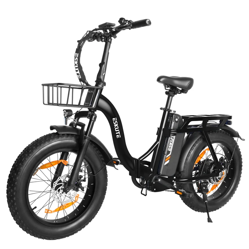 ESKUTE D202 20" Faltbares Elektrofahrrad 250W Motor 48V 20.8Ah Batterie