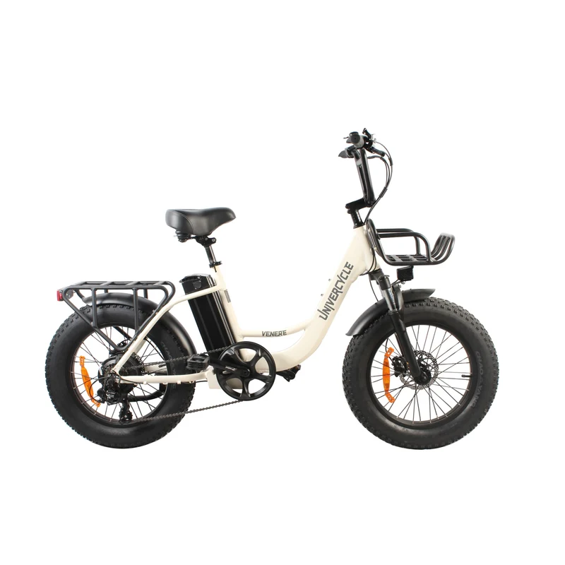 UNIVERCYCLE B5 20" E-Bike Tiefeinsteiger 500W Motor 48V 13Ah Batterie