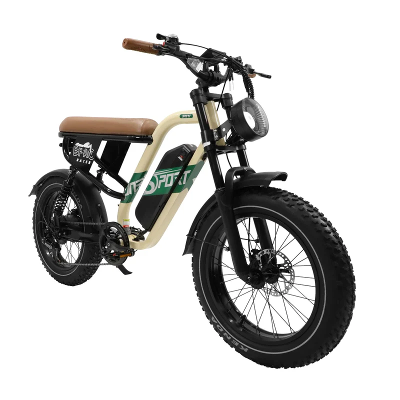 ONESPORT W66 20“ Retro Elektrofahrrad 500W Motor 48V 13.5Ah Batterie