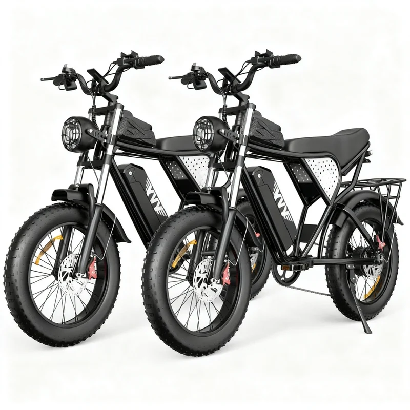 YVY C20 Fette Reifen Elektrofahrrad Kombination