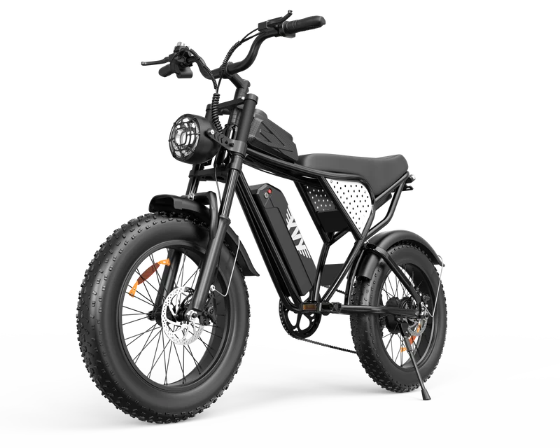 YVY C20Lite 20" Fat Tire Elektrofahrrad 1000W Motor 48V 15Ah Batterie