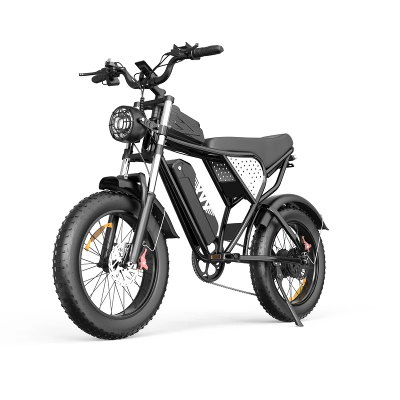 YVY C20 20" Fat Tires Elektrofahrrad 1000W Motor 48V 20Ah Batterie