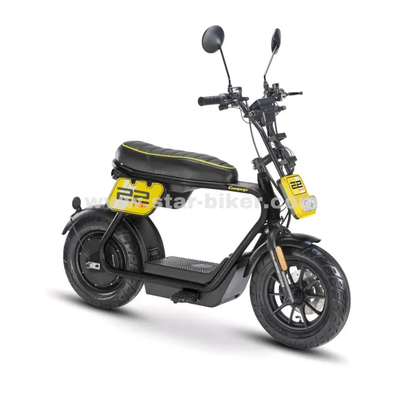 Star-Biker Monkey «Street»