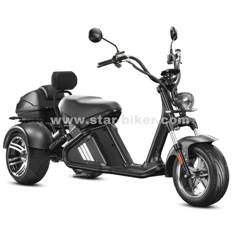 Star-Biker Trike M2