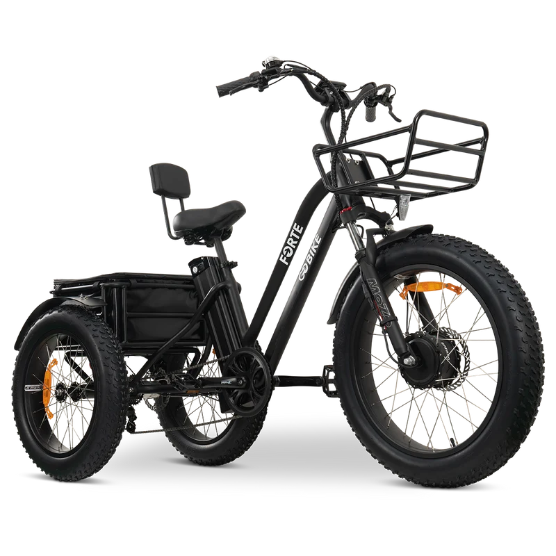 FORTE Electric Tricycle by ElectricGOBIKE