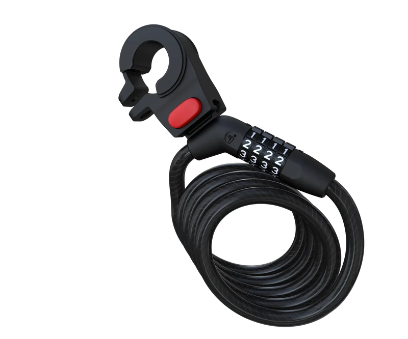 Segway-Ninebot Password Lock