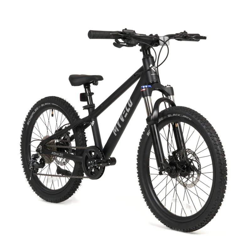 Asha 20" Kinder MTB
