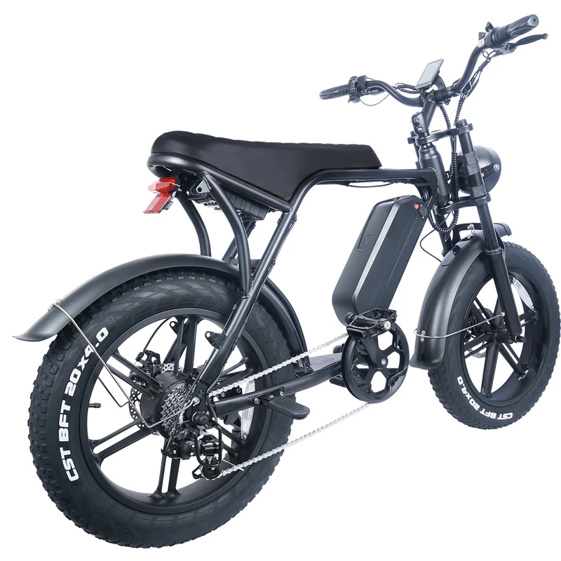E-Bike Molenstraat Dapper