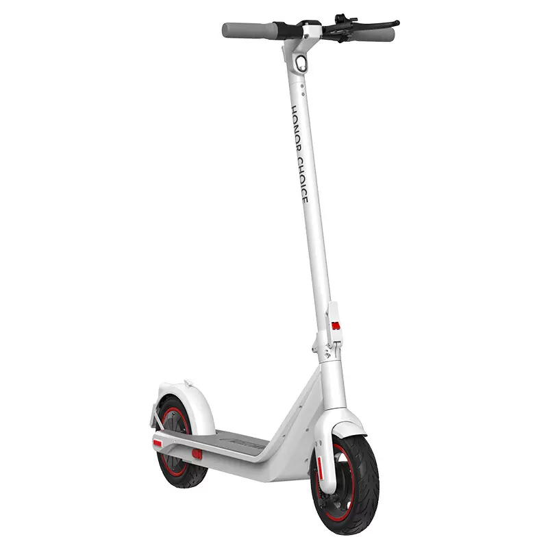 InMotion 樂行天下 P10 10" 電動滑板車 36V 350W
