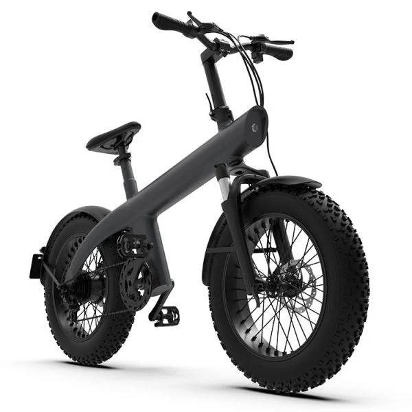 HX Q3 Max Plus 20" elektrisches Mountainbike MTB EBike 750W 13,4Ah