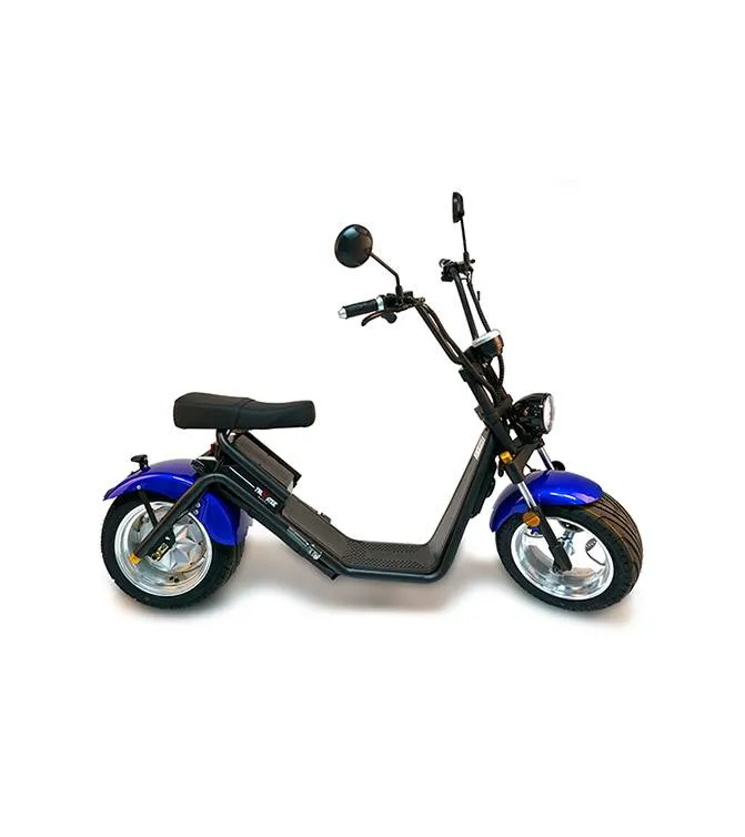 CityTwister 3.0 Elektro Roller Cruzer