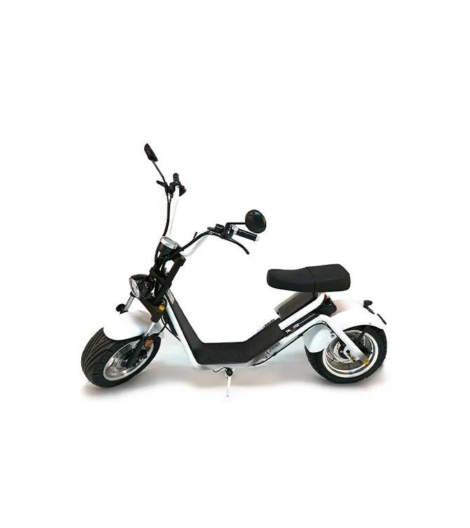 CityTwister 3.0 Elektro Roller Cruzer