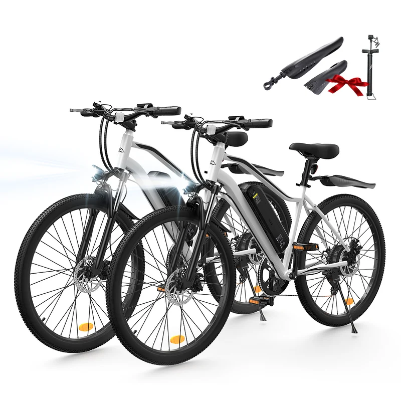 EB3 / EB3S E-Mountainbike - EB3 / Weiß - 2 Stück